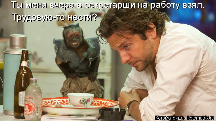 Котоматрица: Ты меня вчера в секретарши на работу взял. Трудовую-то нести?