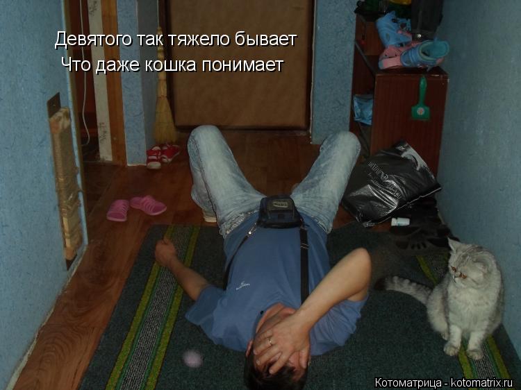 Котоматрица: Девятого так тяжело бывает Что даже кошка понимает