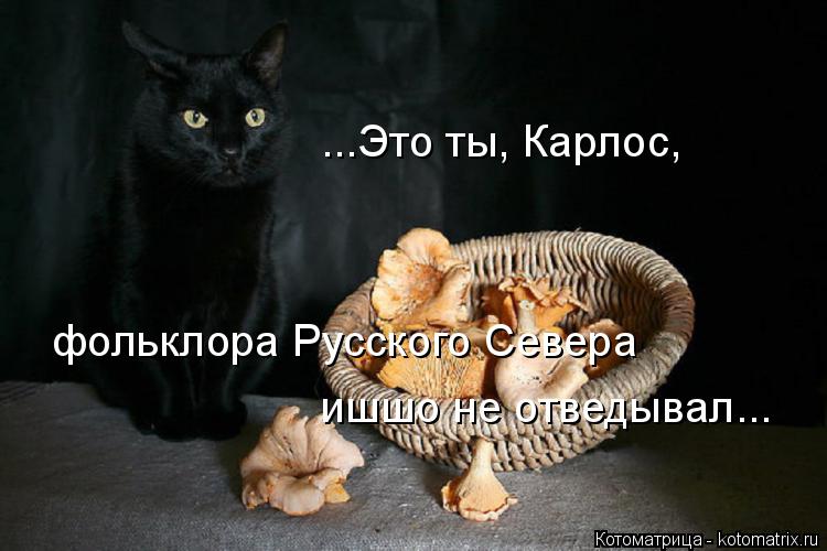 фольклора Русского Севера ...Это ты, Карлос, ишшо не отведывал...... Котоматрица: фольклора Русского Севера ...Это ты, Карлос, ишшо не отведывал...