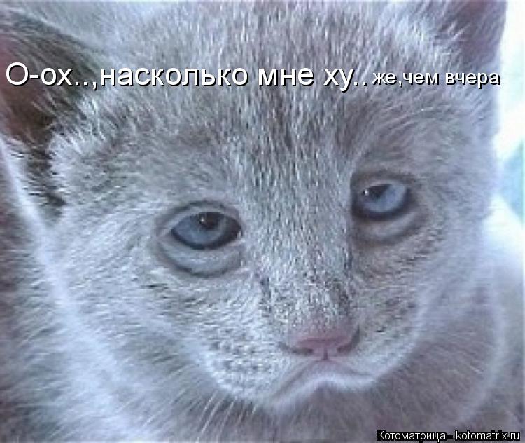 О-ох..,насколько мне ху.. же,чем вчера... Котоматрица: О-ох..,насколько мне ху.. же,чем вчера