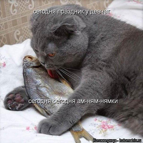 сегодня праздник у девчат сегодня сегодня ам-ням-нямки... Котоматрица: сегодня праздник у девчат сегодня сегодня ам-ням-нямки