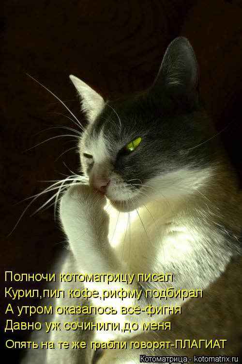Котоматрица: Полночи котоматрицу писал Курил,пил кофе,рифму подбирал А утром оказалось всё-фигня Давно уж сочинили,до меня Опять на те же грабли говорят