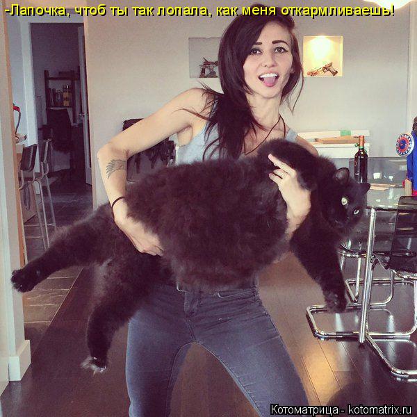-Лапочка, чтоб ты так лопала, как меня откармливаешь!... Котоматрица: -Лапочка, чтоб ты так лопала, как меня откармливаешь!