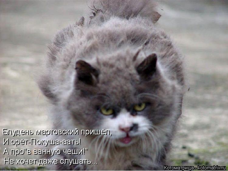 Блудень мартовский пришёл, Блудень мартовский пришёл, И орёт-Покуша-аать! А про"в ванную чеши!" Не хо... Котоматрица: Блудень мартовский пришёл, Блудень мартовский пришёл, И орёт-Покуша-аать! А про"в ванную чеши!" Не хочет даже слушать...