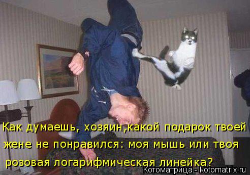 Как думаешь, хозяин,какой подарок твоей розовая логарифмическая линейка? жене не понравился: моя мышь... Котоматрица: Как думаешь, хозяин,какой подарок твоей розовая логарифмическая линейка? жене не понравился: моя мышь или твоя