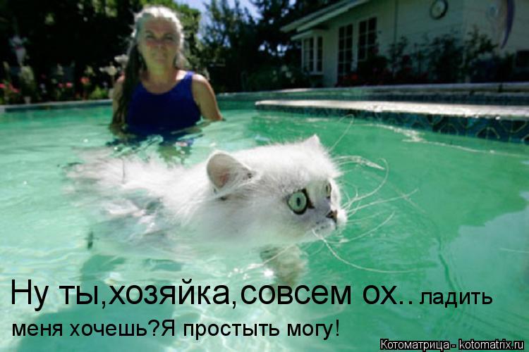 Ну ты,хозяйка,совсем ох.. ладить меня хочешь?Я простыть могу!... Котоматрица: Ну ты,хозяйка,совсем ох.. ладить меня хочешь?Я простыть могу!