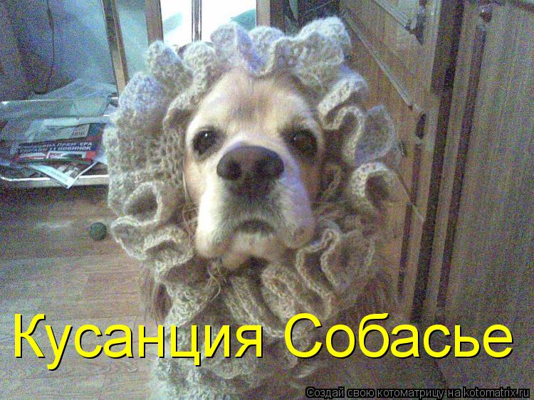 Кусанция Собасье... Котоматрица: Кусанция Собасье