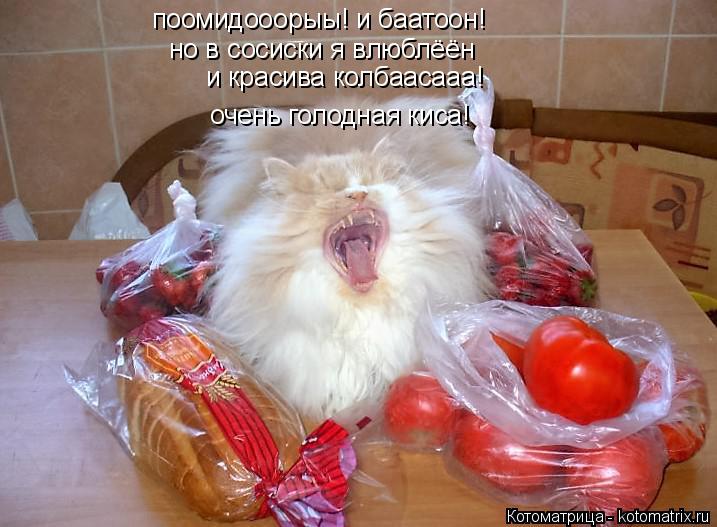 Котоматрица: поомидооорыы! и баатоон! и красива колбаасааа! очень голодная киса! но в сосиски я влюблёён