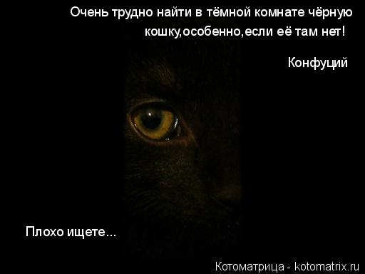 Котоматрица: Очень трудно найти в тёмной комнате чёрную кошку,особенно,если её там нет! Конфуций Плохо ищете...