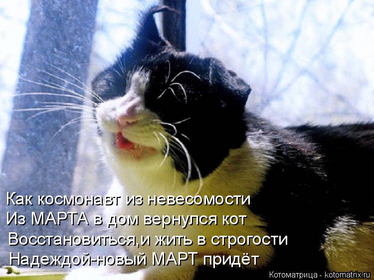 Как космонавт из невесомости Из МАРТА в дом вернулся кот Восстановиться,и жить в строгости Надеждой-н... Котоматрица: Как космонавт из невесомости Из МАРТА в дом вернулся кот Восстановиться,и жить в строгости Надеждой-новый МАРТ придёт