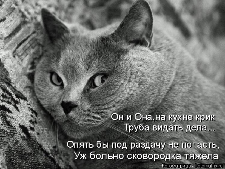 Котоматрица: Уж больно сковородка тяжела Опять бы под раздачу не попасть, Труба видать дела... Он и Она,на кухне крик