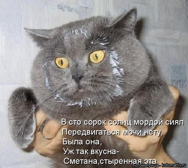 Котоматрица: В сто сорок солнц мордой сиял Передвигаться мочи нету, Была она, Уж так вкусна- Сметана,стыренная эта