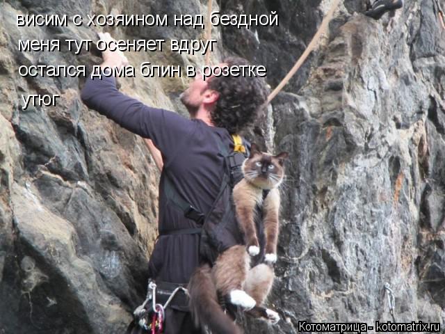 Котоматрица: висим с хозяином над бездной меня тут осеняет вдруг остался дома блин в розетке утюг