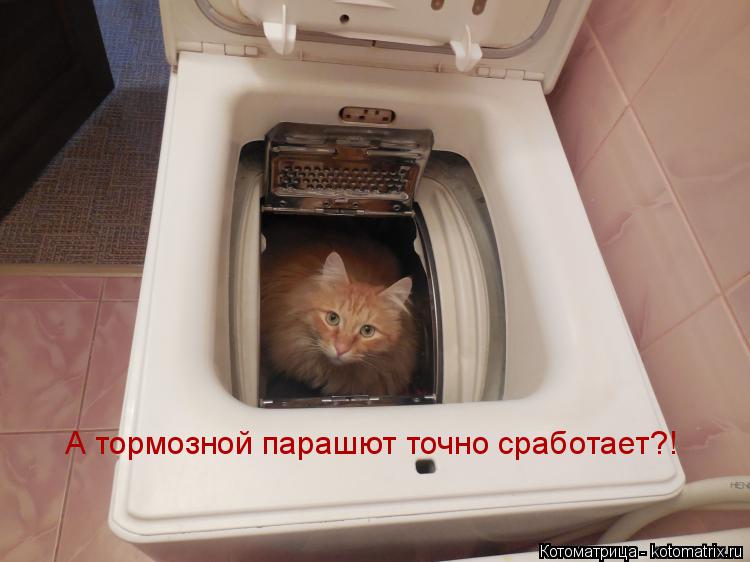 Котоматрица: А тормозной парашют точно сработает?!