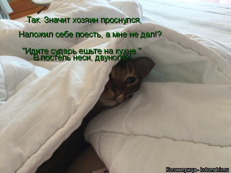 Котоматрица: Так. Значит хозяин проснулся,  Наложил себе поесть, а мне не дал!? "Идите сударь ешьте на кухне." В постель неси, двуногий!