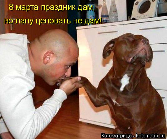 Котоматрица: 8 марта праздник дам, но лапу целовать не дам!