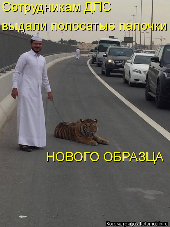 Сотрудникам ДПС выдали полосатые палочки НОВОГО ОБРАЗЦА... Котоматрица: Сотрудникам ДПС выдали полосатые палочки НОВОГО ОБРАЗЦА
