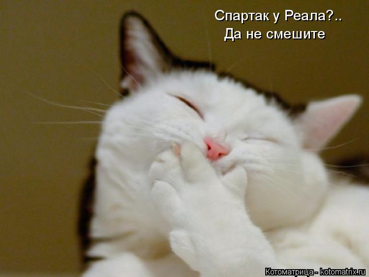 Котоматрица: Спартак у Реала?.. Да не смешите