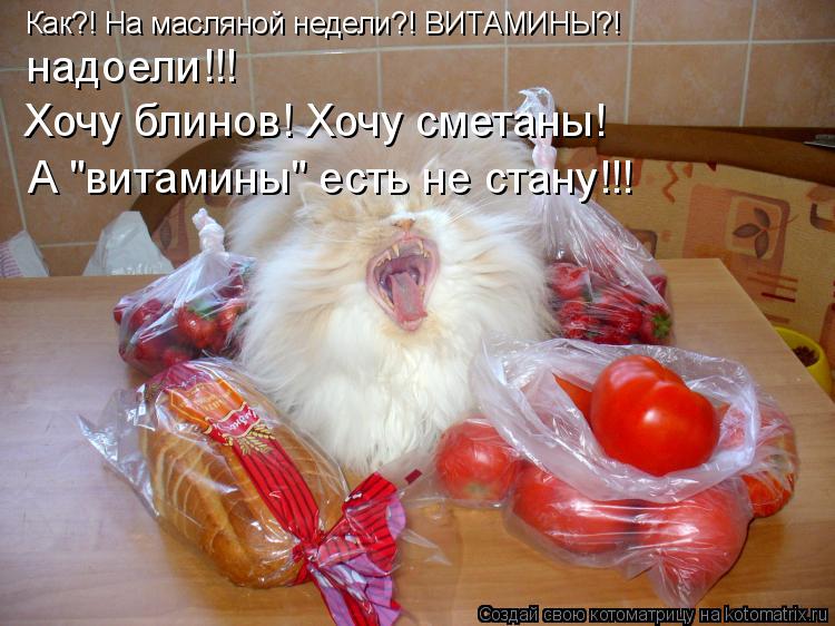 Котоматрица: Как?! На масляной недели?! ВИТАМИНЫ?! надоели!!! Хочу блинов! Хочу сметаны! А "витамины" есть не стану!!!