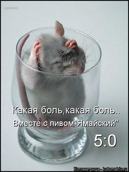 Котоматрица: Какая боль,какая боль.. Вместе с пивом"Ямайский" 5:0