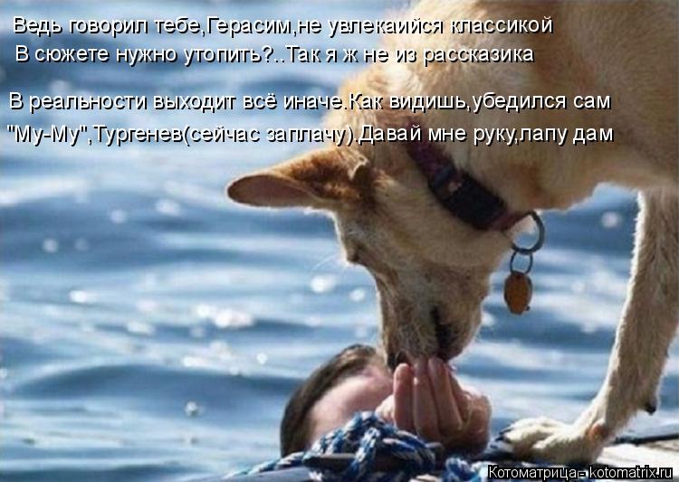 В реальности выходит всё иначе.Как видишь,убедился сам "Му-Му",Тургенев(сейчас заплачу).Давай мне рук... Котоматрица: В реальности выходит всё иначе.Как видишь,убедился сам "Му-Му",Тургенев(сейчас заплачу).Давай мне руку,лапу дам Ведь говорил тебе,Герасим,не