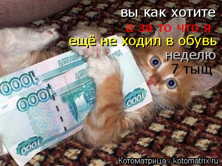 Котоматрица: вы как хотите а за то что я  ещё не ходил в обувь  неделю 7 тыщ