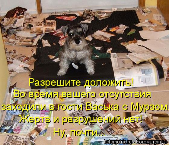 Разрешите доложить! Во время вашего отсутствия заходили в гости Васька с Мурзом. Жертв и разрушений ... Котоматрица: Разрешите доложить! Во время вашего отсутствия заходили в гости Васька с Мурзом. Жертв и разрушений нет! Ну, почти...