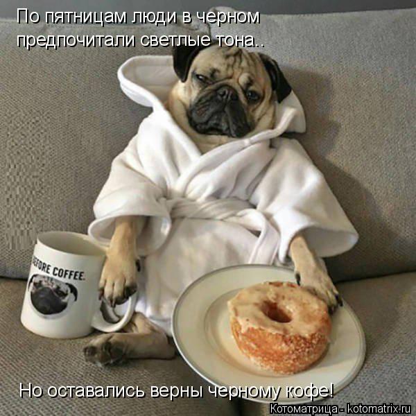 Котоматрица: По пятницам люди в черном предпочитали светлые тона.. Но оставались верны черному кофе!