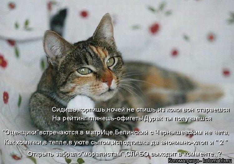 Котоматрица: "Оценщики"встречаются в матрИце,Белинский с Чернышевским не чета, На рейтинг глянешь-офигеть!Дурак ты получаешся Сидишь,корпишь,ночей не с