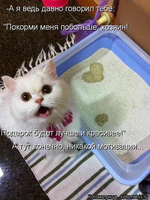 -А я ведь давно говорил тебе: "Покорми меня побольше, хозяин! Подарок будет лучше и красивее!" А тут,... Котоматрица: -А я ведь давно говорил тебе: "Покорми меня побольше, хозяин! Подарок будет лучше и красивее!" А тут, конечно, никакой мотивации...