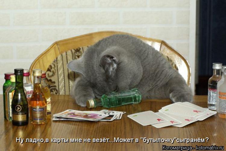 Ну ладно,в карты мне не везёт...Может в "бутылочку"сыгранём?... Котоматрица: Ну ладно,в карты мне не везёт...Может в "бутылочку"сыгранём?