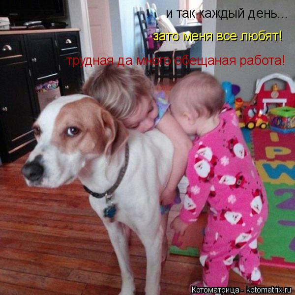 Котоматрица: и так каждый день... трудная да много обещаная работа! зато меня все любят!