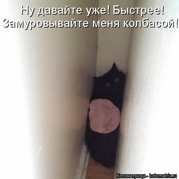 Ну давайте уже! Быстрее! Замуровывайте меня колбасой!... Котоматрица: Ну давайте уже! Быстрее! Замуровывайте меня колбасой!