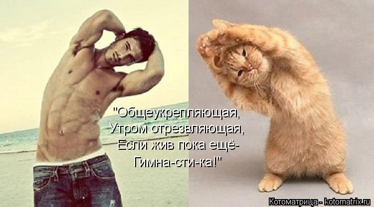 Котоматрица: "Общеукрепляющая, Утром отрезвляющая, Если жив пока ещё- Гимна-сти-ка!"