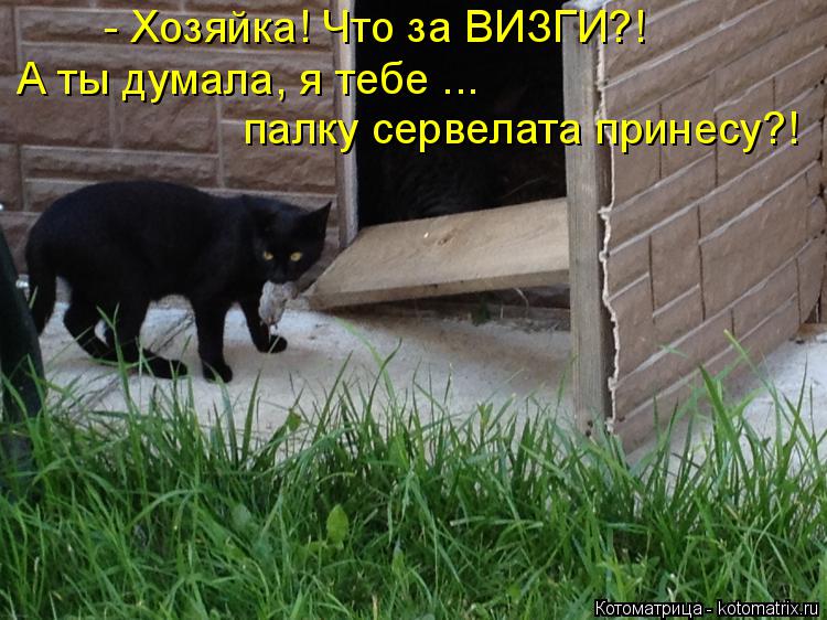 - Хозяйка! Что за ВИЗГИ?! А ты думала, я тебе ... палку сервелата принесу?!... Котоматрица: - Хозяйка! Что за ВИЗГИ?! А ты думала, я тебе ... палку сервелата принесу?!