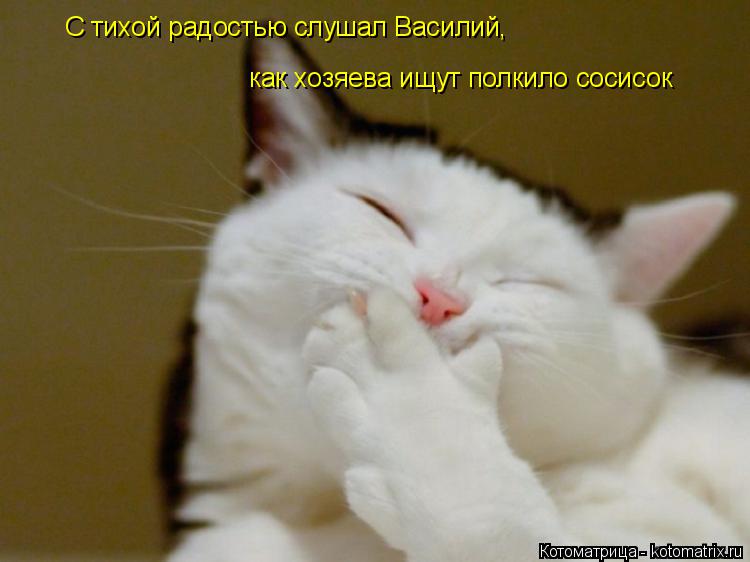 Котоматрица: как хозяева ищут полкило сосисок С тихой радостью слушал Василий,