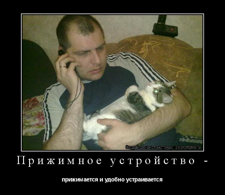 Прижимное устройство - прижимается и удобно устраивается... Котоматрица: Прижимное устройство - прижимается и удобно устраивается