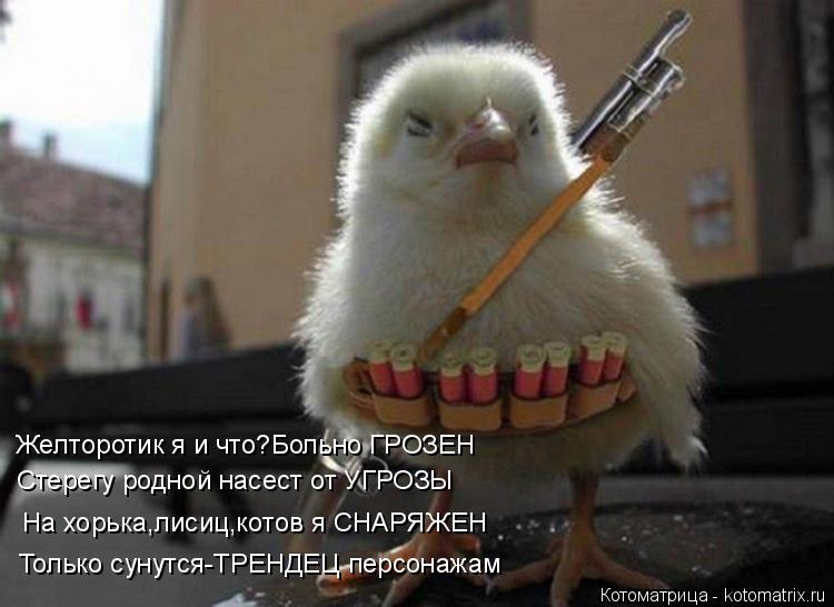 Желторотик я и что?Больно ГРОЗЕН Стерегу родной насест от УГРОЗЫ Только сунутся-ТРЕНДЕЦ персонажам На... Котоматрица: Желторотик я и что?Больно ГРОЗЕН Стерегу родной насест от УГРОЗЫ Только сунутся-ТРЕНДЕЦ персонажам На хорька,лисиц,котов я СНАРЯЖЕН