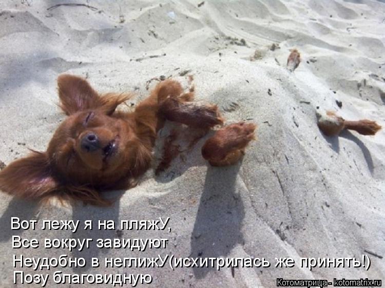 Вот лежу я на пляжУ, Все вокруг завидуют Неудобно в неглижУ(исхитрилась же принять!) Позу благовидную... Котоматрица: Вот лежу я на пляжУ, Все вокруг завидуют Неудобно в неглижУ(исхитрилась же принять!) Позу благовидную