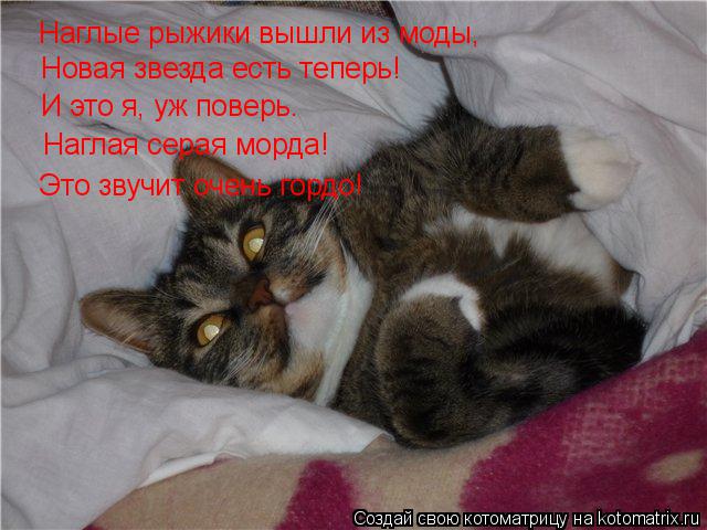 Наглые рыжики вышли из моды, Новая звезда есть теперь! И это я, уж поверь. Наглая серая морда! Это зв... Котоматрица: Наглые рыжики вышли из моды, Новая звезда есть теперь! И это я, уж поверь. Наглая серая морда! Это звучит очень гордо!