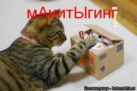 мАнитЫгинг... Котоматрица: мАнитЫгинг