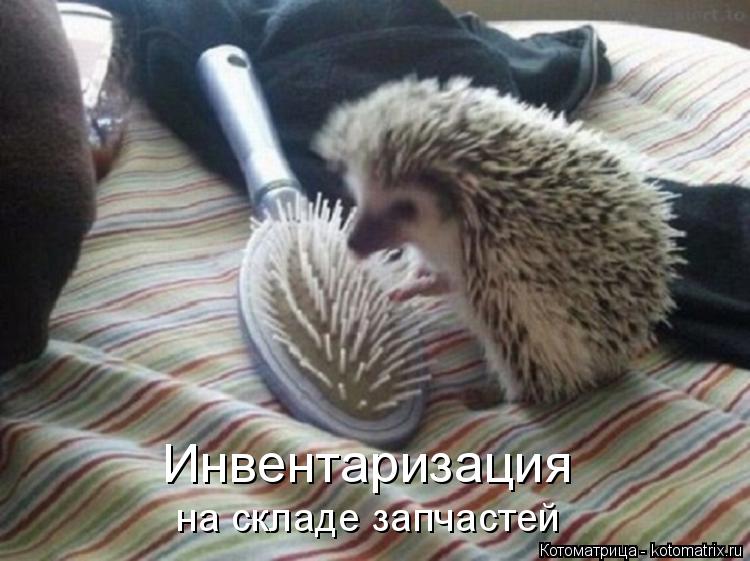 Инвентаризация на складе запчастей... Котоматрица: Инвентаризация на складе запчастей