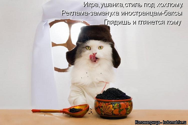 Котоматрица: Икра,ушанка,стиль под хохлому. Реклама-замануха иностранцам-баксы Глядишь и глянется кому