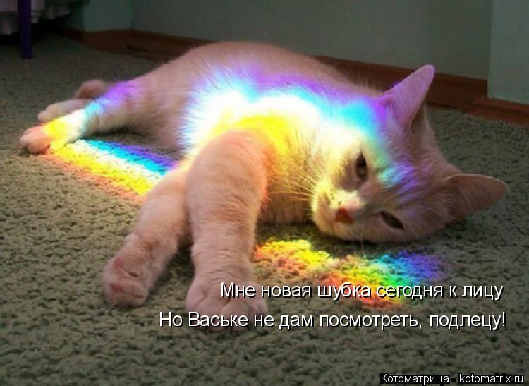 Мне новая шубка сегодня к лицу Но Ваське не дам посмотреть, подлецу!... Котоматрица: Мне новая шубка сегодня к лицу Но Ваське не дам посмотреть, подлецу!