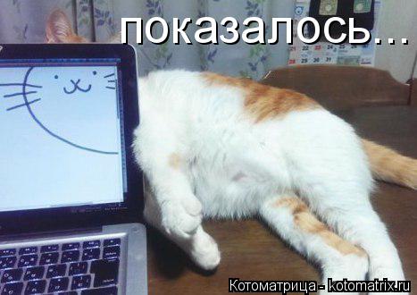 показалось...... Котоматрица: показалось...