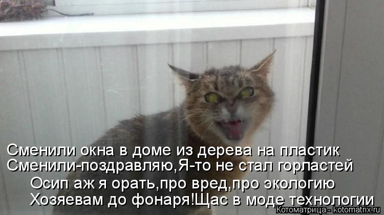Сменили-поздравляю,Я-то не стал горластей Сменили окна в доме из дерева на пластик Хозяевам до фонаря... Котоматрица: Сменили-поздравляю,Я-то не стал горластей Сменили окна в доме из дерева на пластик Хозяевам до фонаря!Щас в моде технологии Осип аж я орать,