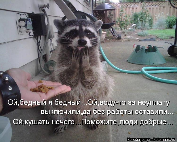 Ой,бедный я бедный...Ой,воду-то за неуплату выключили,да без работы оставили... Ой,кушать нечего...По... Котоматрица: Ой,бедный я бедный...Ой,воду-то за неуплату выключили,да без работы оставили... Ой,кушать нечего...Поможите,люди добрые...