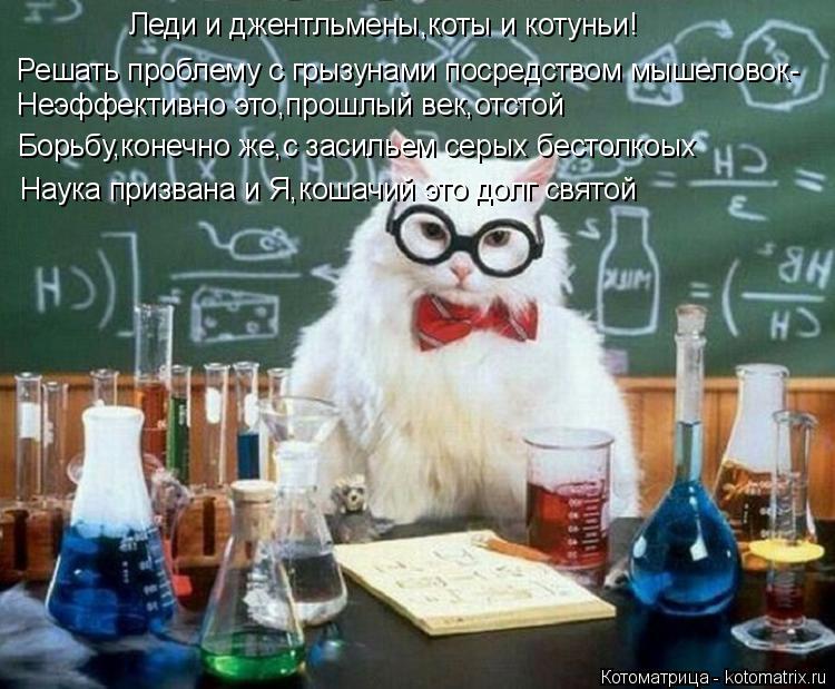 Неэффективно это,прошлый век,отстой Борьбу,конечно же,с засильем серых бестолкоых Наука призвана и Я,... Котоматрица: Неэффективно это,прошлый век,отстой Борьбу,конечно же,с засильем серых бестолкоых Наука призвана и Я,кошачий это долг святой Леди и джентл