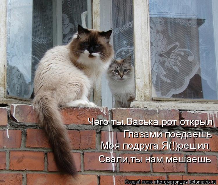 Чего ты.Васька.рот открыл Глазами поедаешь Моя подруга,Я(!)решил, Свали,ты нам мешаешь... Котоматрица: Чего ты.Васька.рот открыл Глазами поедаешь Моя подруга,Я(!)решил, Свали,ты нам мешаешь
