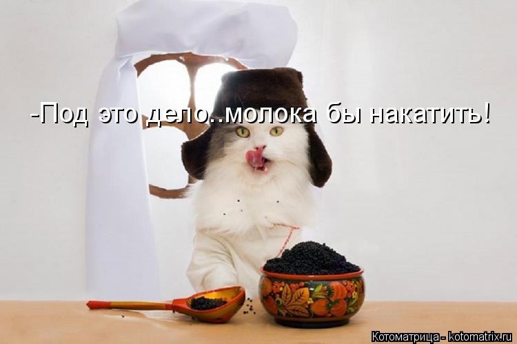 Котоматрица: -Под это дело..молока бы накатить!